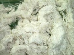 Cotton Waste Manufacturer Supplier Wholesale Exporter Importer Buyer Trader Retailer in N.H.Silvassa  India
